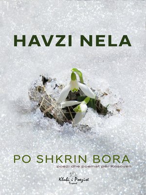 cover image of Po Shkrin Bora
